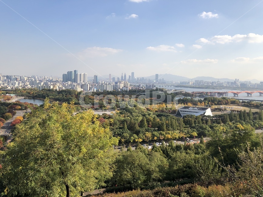 하늘공원,서울,도심속,가을,도심,가을,계절,fall,autumn,season,도시,풍경,city,landscape,한국도시풍경,한국도시경관,korea cityscape,nature,자연,경치,outdoors,옥외,scenery,aerial view,조감도