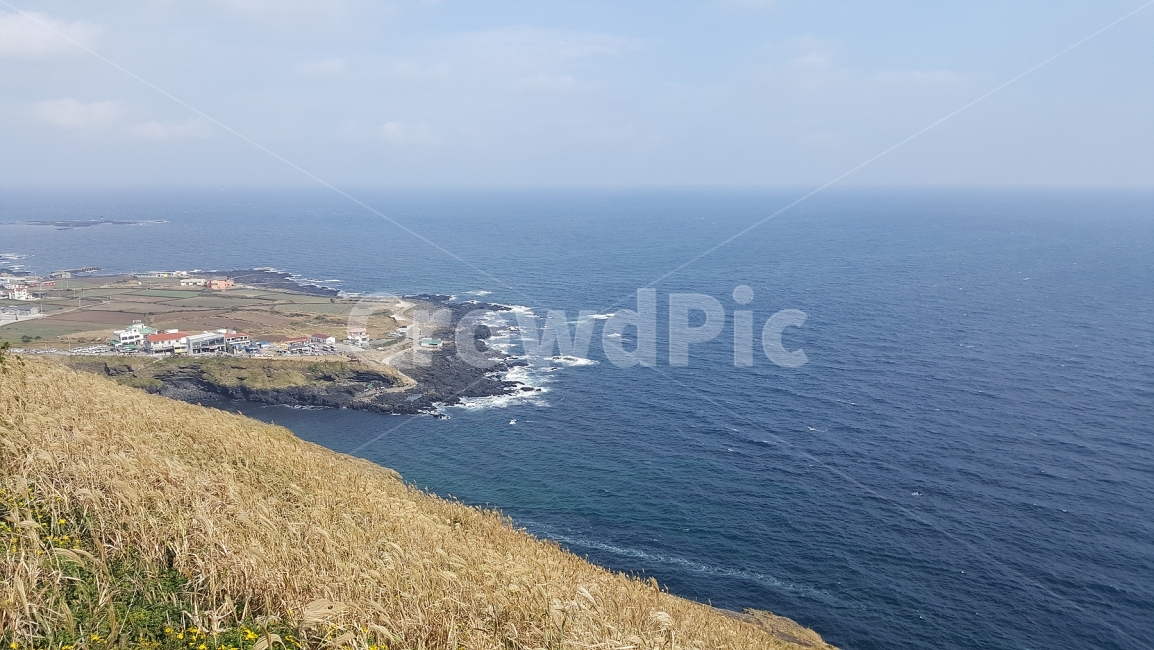 여행,제주도,겨울,겨울바다,해안,jeju,sea,tree,trip,journey,vacation,자연,풍경,nature,landscape,한국자연풍경,한국자연경관,korea nature landscape,제주도,jeju,jeju island,land,땅,outdoors,옥외,water,물,shoreline,해안선,바다,ocean,대양,promontory,곶,coast,연안