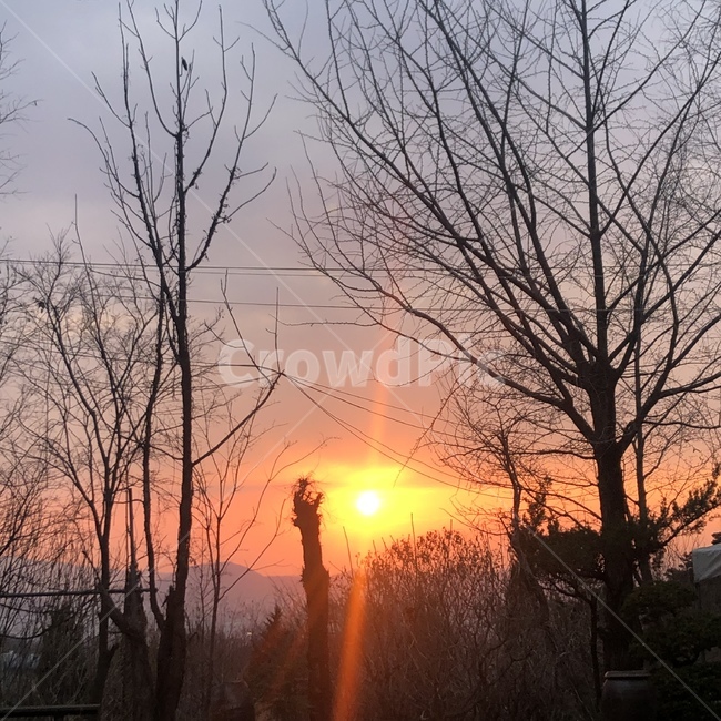 석양,노을,해질녘,나무,하늘,밤,자연,풍경,nature,landscape,outdoors,옥외,dawn,새벽,red sky,붉은 하늘,sunset,일몰,sky,dusk,황혼,sunlight,햇빛