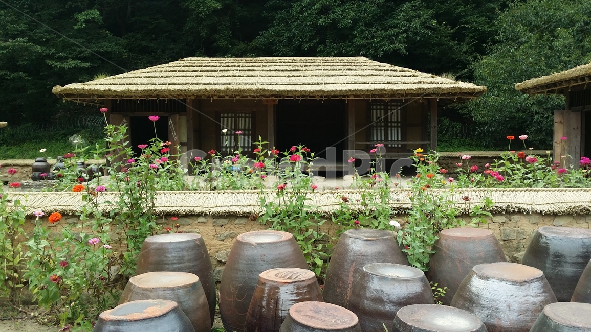 장독대,항아리,한옥,전통,꽃,옛날집,초가집,단지,풍경,집,마을,한국전통,한국문화,korean traditional,korean culture