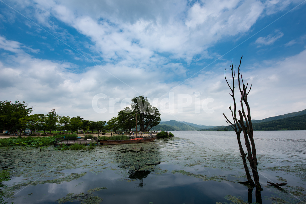 water,outdoors,옥외,nature,두물머리,강,남양주시,자연,풍경,nature,landscape