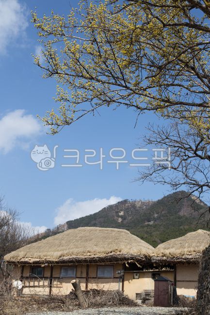 초가집, 초가지붕, 지붕, 볏짚, 처마, 사진,이미지,일러스트,캘리그라피 - natsu u작가