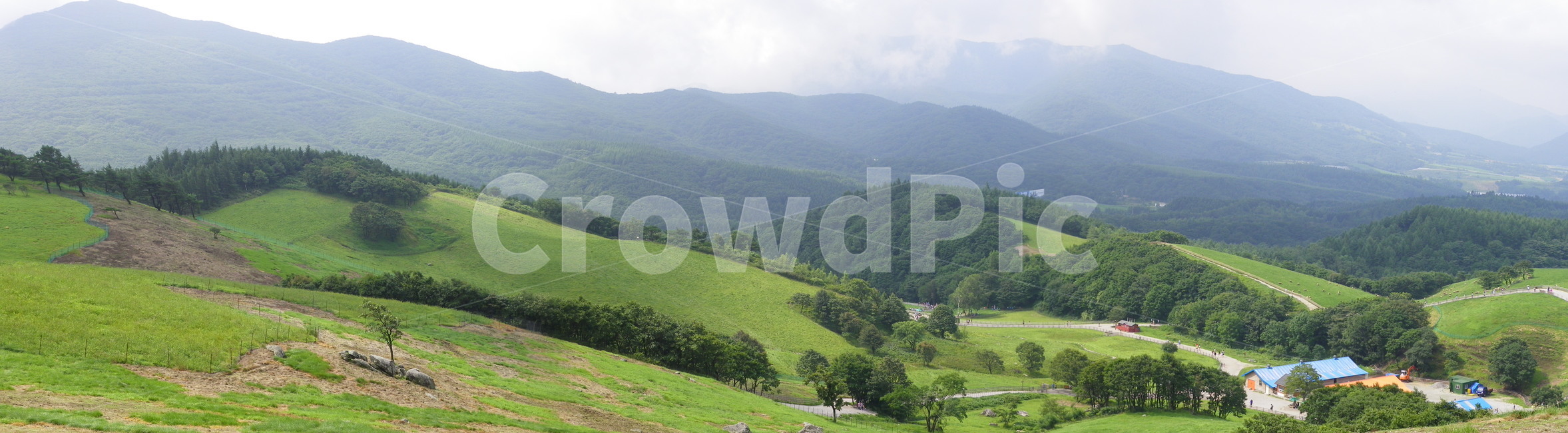 대관령양떼목장,파노라마사진,목초지,들,자연,옥외,nature,slope,경사,여름,언덕,와이드뷰