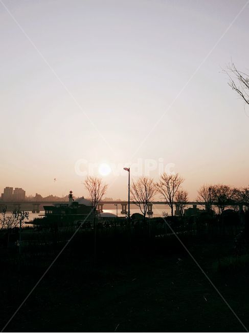 배경,역광,빛,대비,나무,태양,저녁,backlight,tree,season,eveningsky,sunset,노을