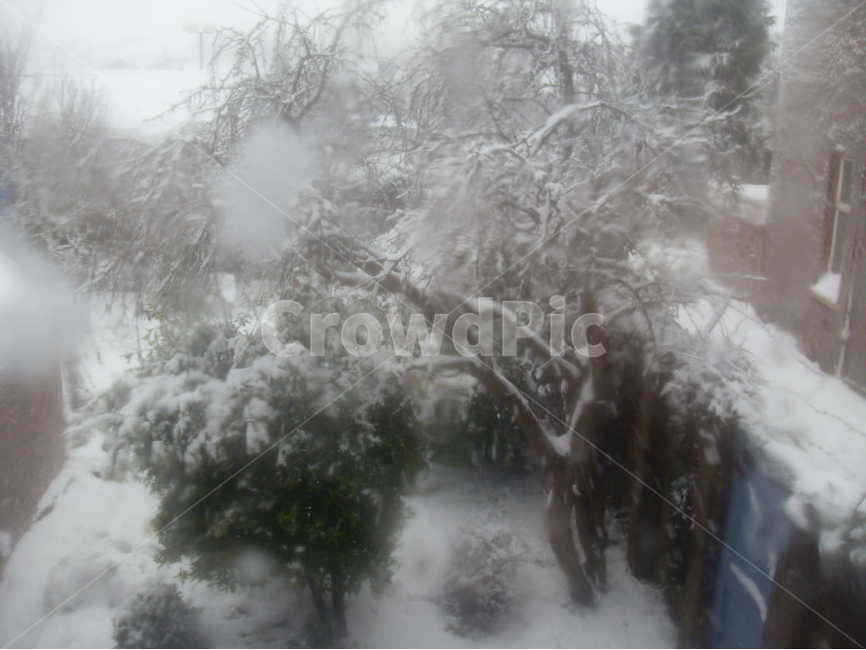 스코틀랜드,스트란라,폭설,눈,눈보라,차가운날씨,영하의온도,겨울,계절,winter,season
