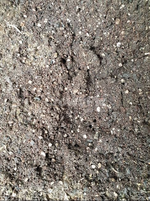하우스재배,재배,흙,텃밭,정원,농작물,농사,아시아,실내,유기농,농업,채소,야채,자연,풍경,nature,landscape,ground,바닥,gravel,자갈,road,도로,dirt road,흙길