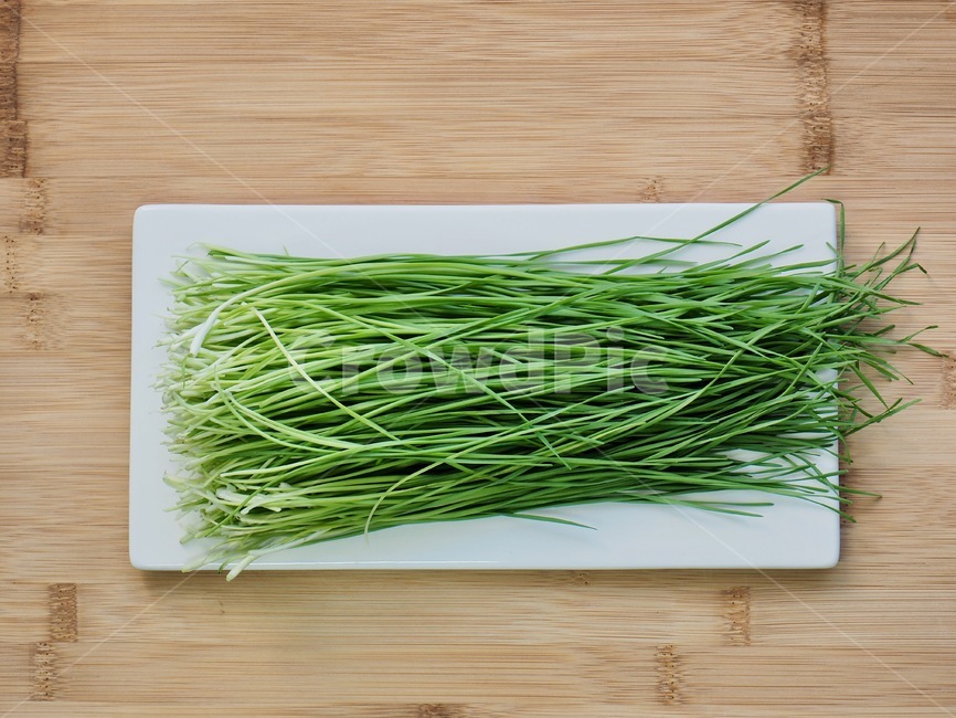 부추,유기농,유기농부추,채소,야채,음식,음식재료,녹색,chives,organic,organicleek,vegetable,food,foodingredients,green,음식,식재료,요리,food,cook,meal,dishes,food reserves,채소,야채,vegetables