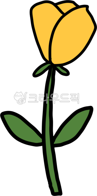 장미,간단한꽃,봄꽃,꽃관찰,노란장미