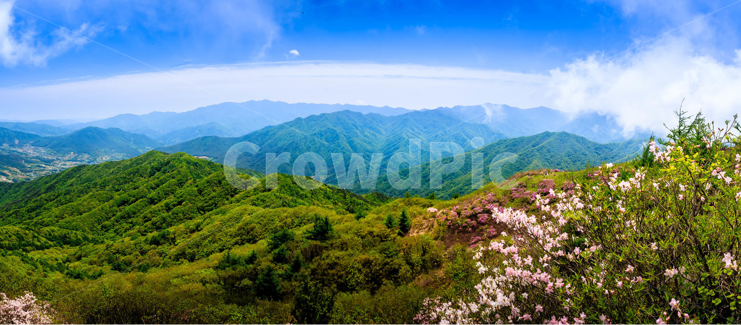지리산,바래봉,철쭉,봄,연두,파란하늘,숲,나무,봄,계절,spring,season,자연,풍경,nature,landscape,한국자연풍경,한국자연경관,korea nature landscape,outdoors,옥외,mountain,산