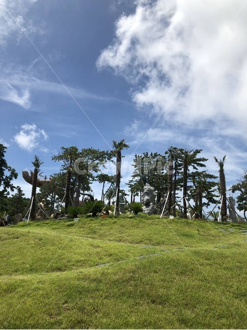 outdoors,옥외,grassland,목초지,field,nature,들,자연,plant,식물,grass,잔디,날씨,구름,여름,자연,풍경,nature,landscape