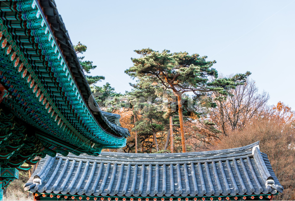 기와,선,단청,사찰,문양,처마,한국전통,한국문화,korean traditional,korean culture,건축물,건물외관,exterior,building,structure,architecture,construction