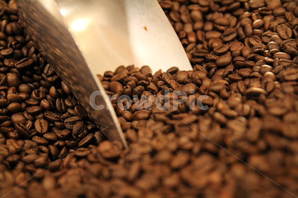 커피,커피원두,열매,원두,식품,원료,가공,로스팅,볶은원두,음료,씨앗,생두,커피콩,콩,카카오콩,에디오피아,아라비카,브라운,갈색,Coffee,coffeebeans,beans,foods,ingredients,processed,cooked,roasted,roastedbeans,beverages,seeds,rawbeans,cacaobeans,Ethiopia,brown,커피,카페,coffee,cafe
