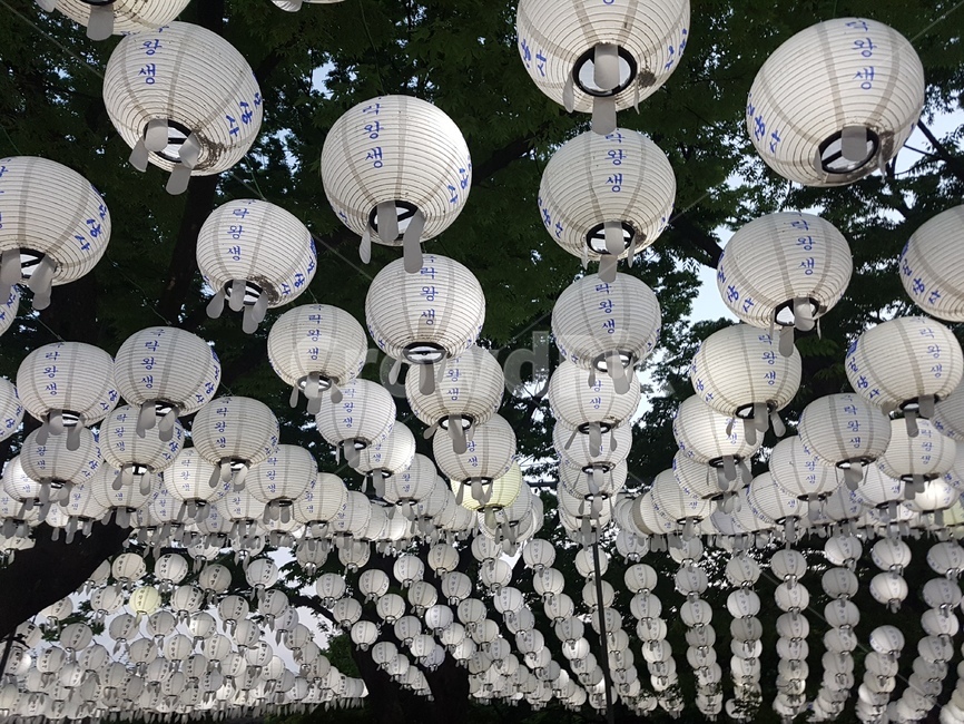 연등,초파일,석가탄신일,길상사,절,사찰,lotuslantern