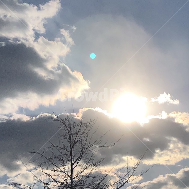하늘,구름,태양,풍경,낮