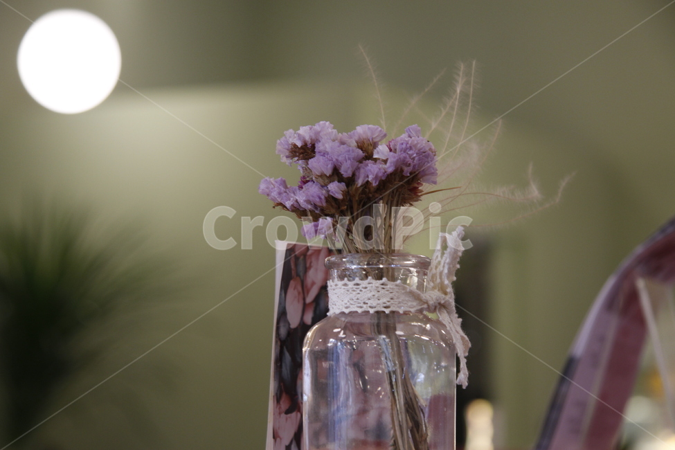 plant,식물,꽃,꽃꽃이,화병,보라꽃