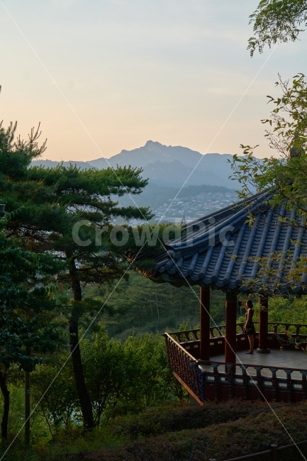 낙산정,관광객,외국인,노을,한국적,풍경,경치,전통,기화지붕,전망,정자,낙산공원,낙조,자연,풍경,nature,landscape,한국전통,한국문화,korean traditional,korean culture,사람,인물,인간,human,person,outdoors,옥외