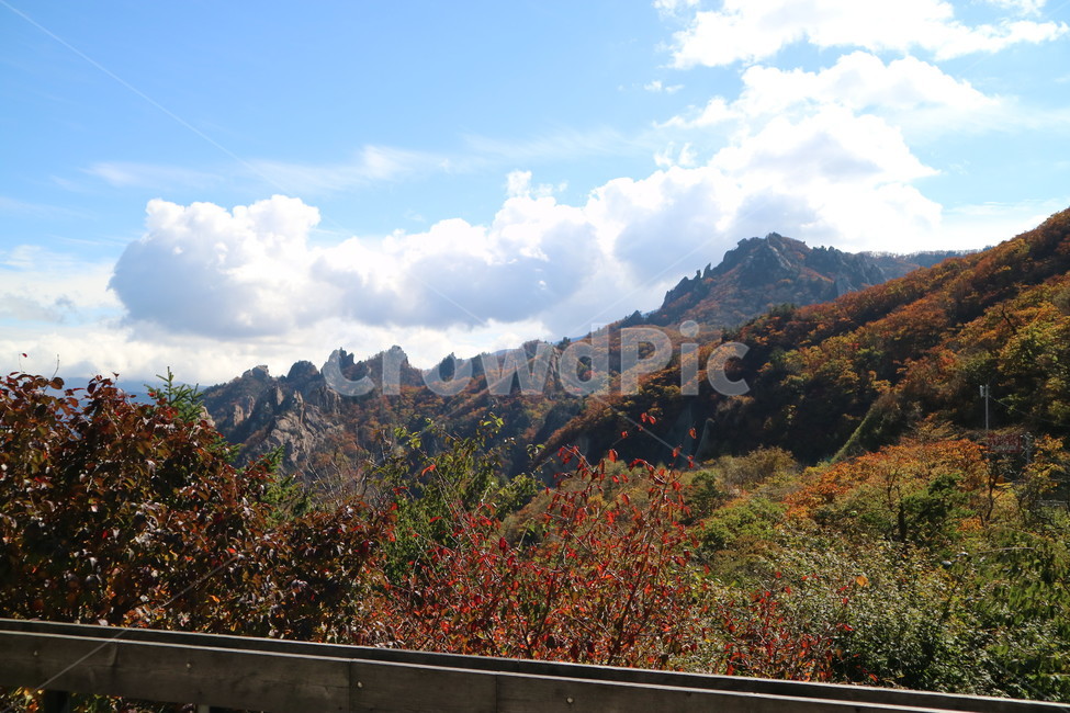 강원도,설악산,한계령,가을,풍경,가을,계절,fall,autumn,season,자연,풍경,nature,landscape,한국자연풍경,한국자연경관,korea nature landscape,mountain,산,mountain range,산맥,outdoors,옥외