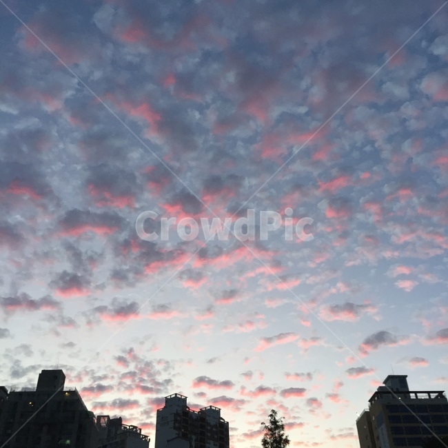 하늘,노을,구름,배경,풍경