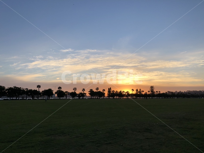 outdoors,옥외,nature,자연,grass,나무,산책,저녁,저녁노을,저녁하늘,선셋,sunset,호주,야경,가로수,공원