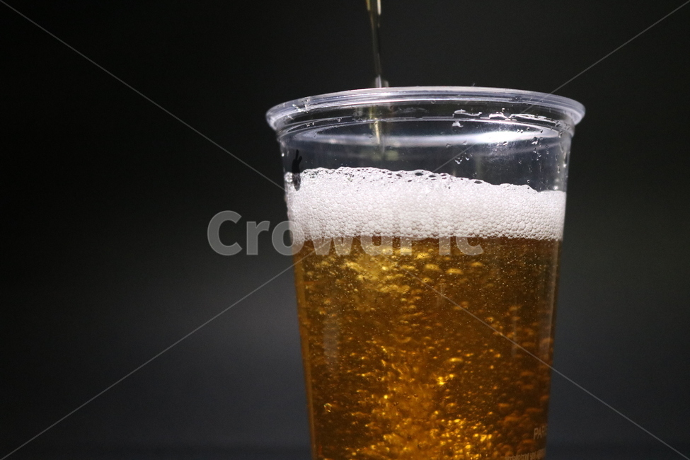 맥주,거품,따르는,갈증,탄산,beer,술,주류,alcohol