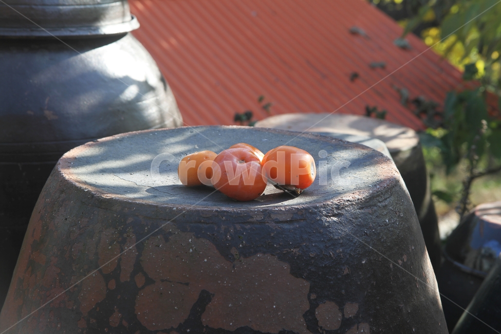 countryside scenery,Jangdokdae,persimmon,autumn scenery,jar and persimmon,jar,Hongsi,Emotion,rural landscape