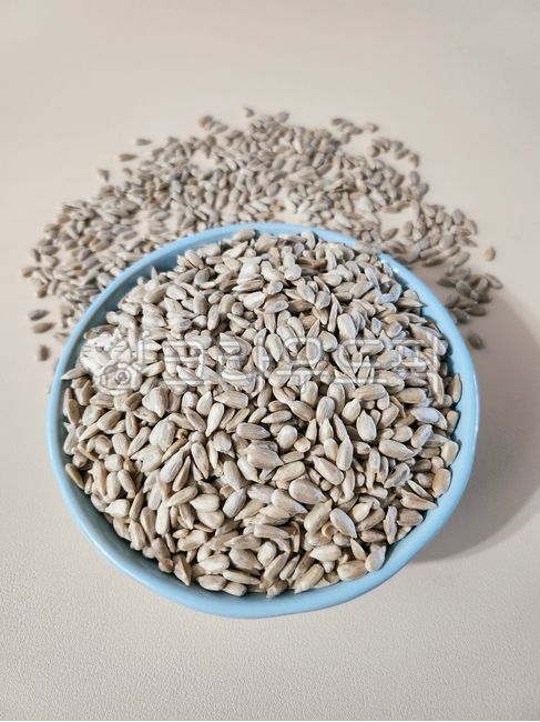 해바라기씨,견과류,씨앗,곡물,sunflowerseed,seed,식재료