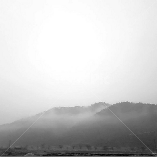 nature,자연,weather,날씨,안개,흑백,모노톤,monochrome,black and white