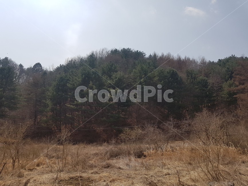 양평,산,나무,하늘,풍경