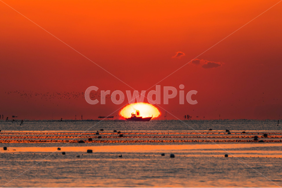 일출,여명,등대,해,아침,오메가,오여사,자연,풍경,nature,landscape,sunlight,햇빛,sky,하늘,outdoors,옥외,sunset,일몰,dusk,황혼,dawn,새벽,red sky,붉은 하늘