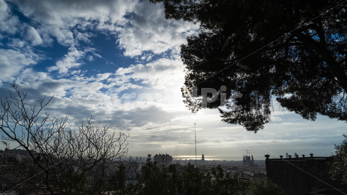 스페인,바르셀로나,하늘,나무,유럽,구엘공원,풍경,parkguell,도시,풍경,city,landscape,tree,plant,식물,nature,자연,fir,전나무