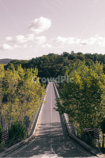 도로,길,나무,하늘,bridge,다리,자연,풍경,nature,landscape