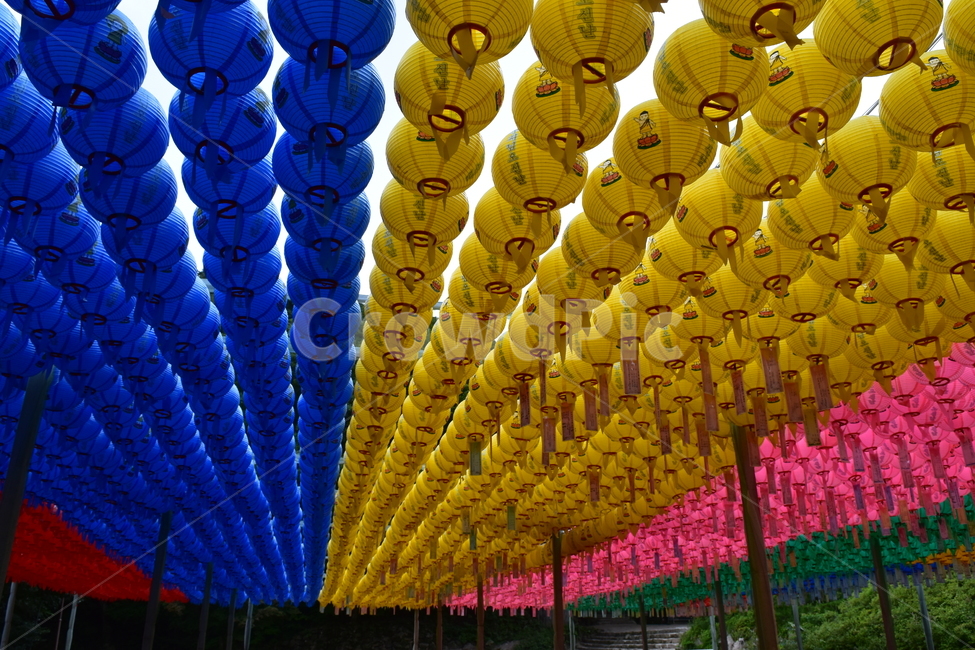 만월등,석굴암,사찰,경주,세계문화유산,종교,불교,등,사원,절,종교,신앙,religion,belief,faith,축제,행사,festival,carnival,event