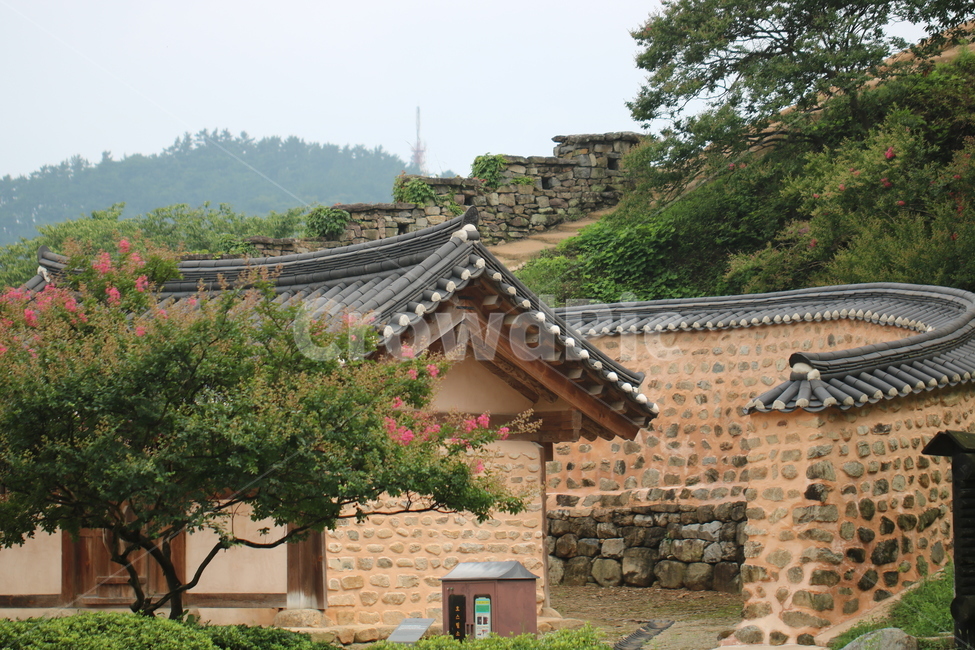 고창읍성,성곽,싱그러운여름,초록,베롱나무꽃,풍경,문화재,한국전통,한국문화,건축물,건물,한국전통,한국문화,korean traditional,korean culture,건축물,건물외관,exterior,building,structure,architecture,construction