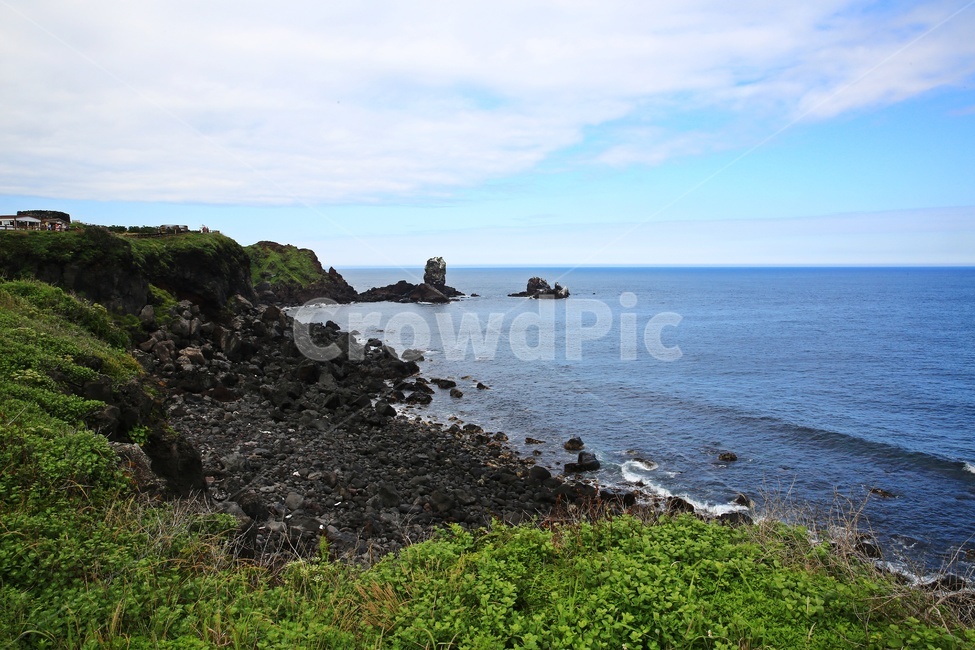 headland,coastline,nature,Jeju,water,sea,promontory,Seopjikoji,Beach,outdoors,ocean,grass,plant,shoreline