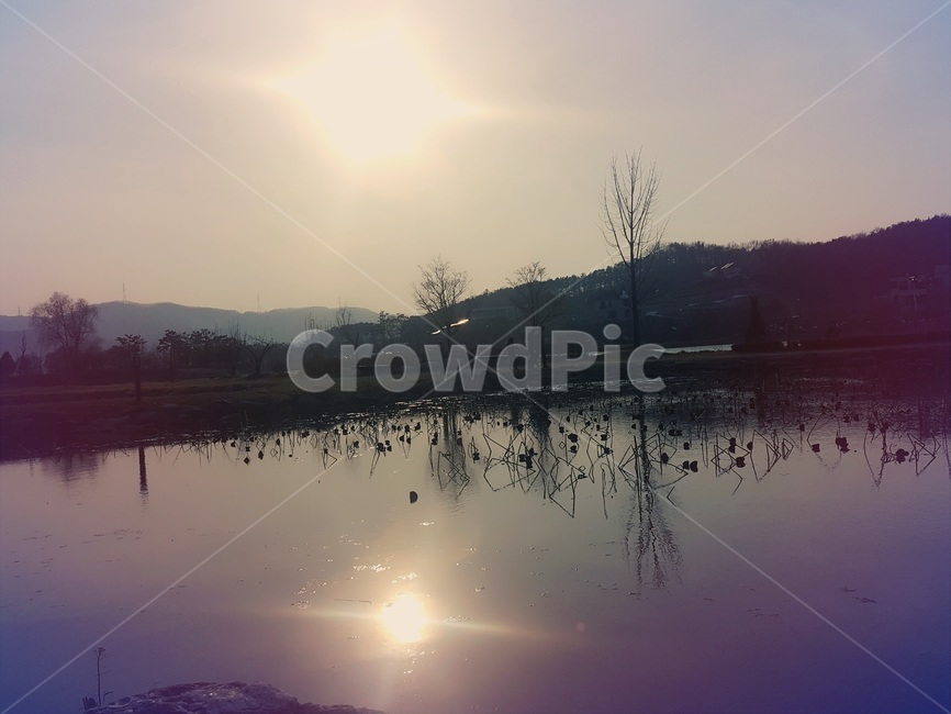 강,나무,땅거미,river,tree