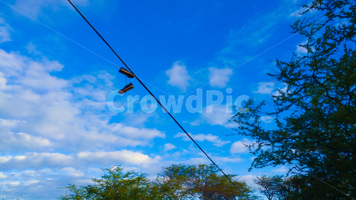 감성,신발,전기줄,맑은,날씨,하와이,shoes,구름,나무,자연,풍경,nature,landscape