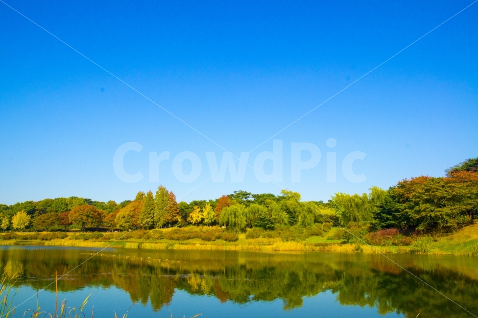 가을,호수,단풍,하늘,가을풍경,자연,풍경,nature,landscape,가을,계절,fall,autumn,season,water,물,outdoors,옥외