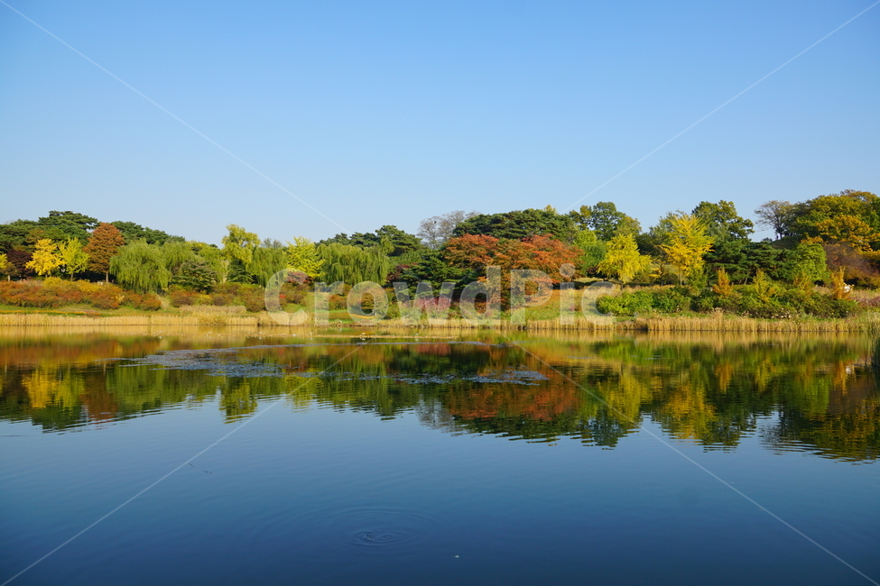 가을,풍경,반영,호수,배경,가을,계절,fall,autumn,season,자연,풍경,nature,landscape,water,물,outdoors,옥외,lake
