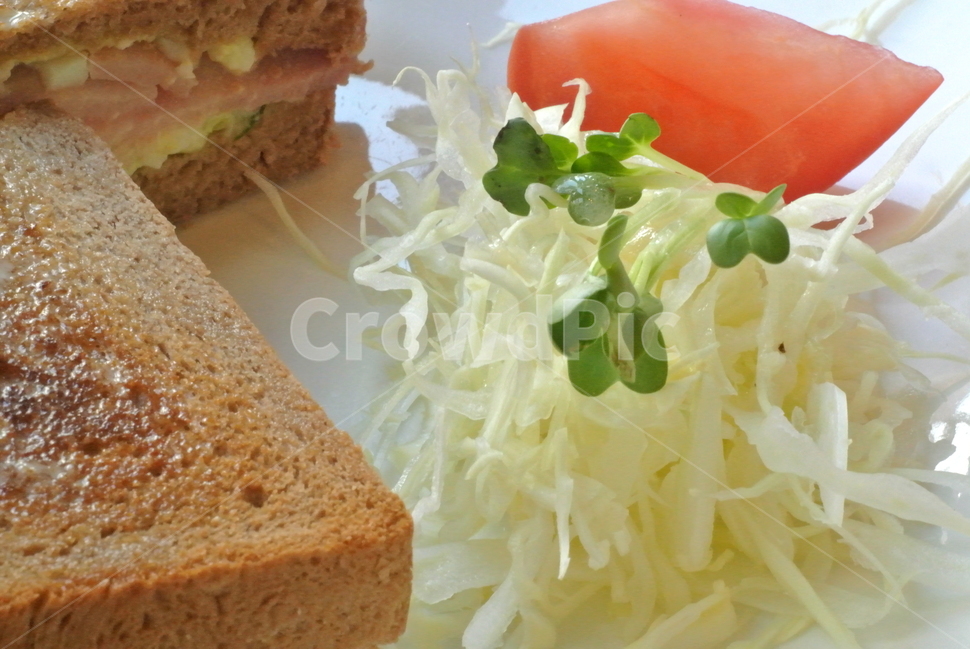 음식,샐러드,브런치,양식,레스토랑,토스트,음식,식재료,요리,food,cook,meal,dishes,food reserves