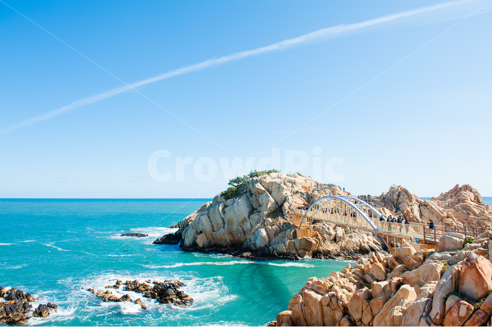 nature,자연,바다,sea,곶,울산,promontory,다리,ocean,자연,풍경,nature,landscape