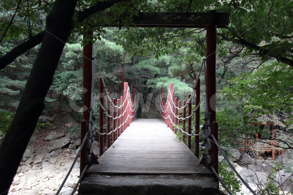 다리,등산로,관악산,산책로,풍경,배경,숲,길,한적한곳,자연,풍경,nature,landscape,outdoors,옥외,arbour,정자,garden,정원