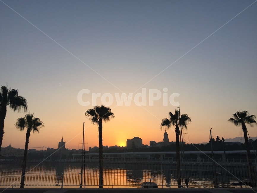 노을,바다,석양,야자수,palmtree,tree,나무,sunset,sea