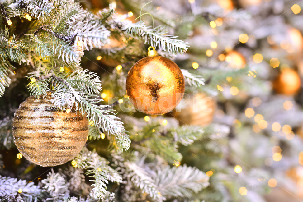 크리스마스,크리스마스트리,츄리,성탄절,xmas,tree,나무,plant,식물,christmas,년말장식,장식물,데코레이션,decoration,성탄볼,ball,크리스마스볼,christmasball,background,백그라운드,배경,바탕,분위기,성탄분위기,성탄배경,계절,시즌,season,금색,은색,동색,silver,golden,황금색,메리크리스마스,성탄절,merry christmas