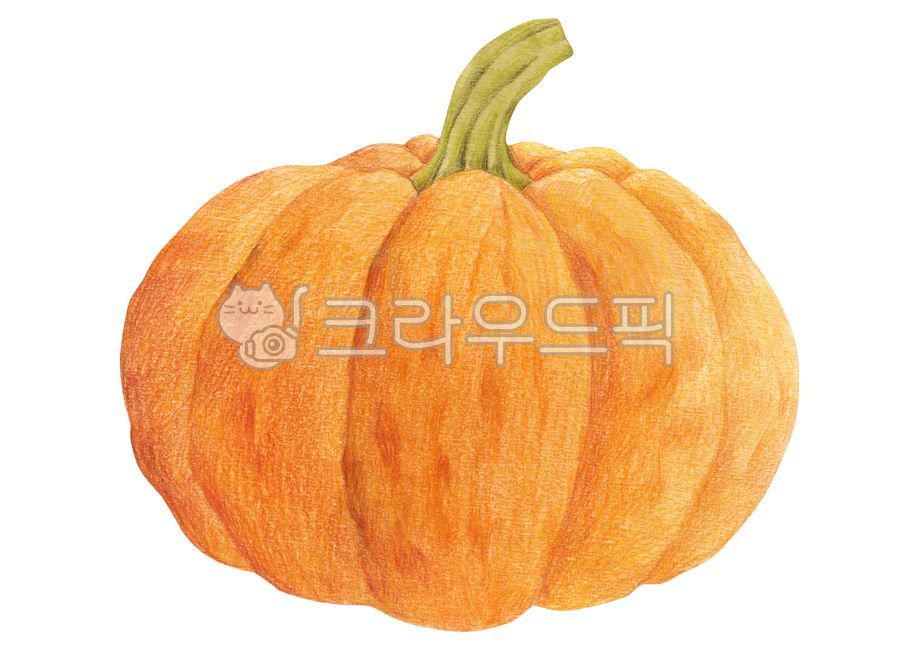 일러스트,일러스트레이션,그림,드로잉,색연필화,색연필,수작업,오브젝트,계절,시즌,가을,식물,자연,음식,호박,할로윈,할로윈데이,추수,농사,단호박,illustration,drawing,hand,drawn,colored,pencil,season,autumn,fall,plant,food,vegetable,pumpkin,halloween,day