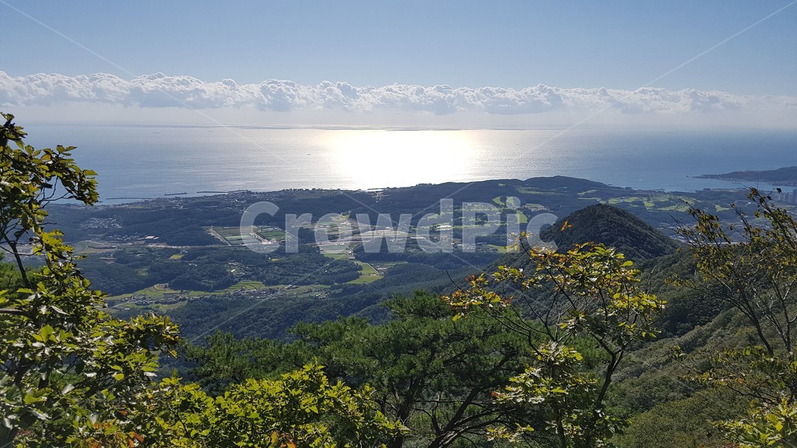 아침,일출,바다,물안개,정원,거제,geoje,morning,sunrese,sea,waterfog,garden