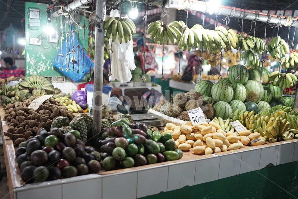 야시장,보홀,필리핀,열대,과일,열대과일,가계,상점,시장,마트,마켓,market,mart,market place,해외,외국,세계,foreign,oversea,world,음식,식재료,요리,food,cook,meal,dishes,food reserves,과일,열매,fruit
