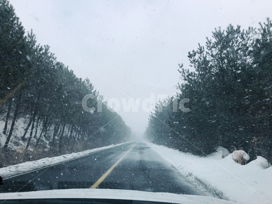 눈길,눈,겨울,도로,차안,차,운전,드라이브,겨울,계절,winter,season,교통,교통수단,traffic,transportation