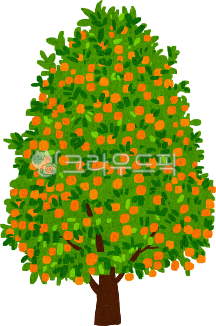귤나무,나무,tree,mandarintree,귤잎,귤,감귤,과일,제주귤,주황색,새콤달콤귤,싱싱한귤,귤그림,귤손그림,귤일러스트,귤요소,겨울간식,겨울과일,겨울열매,제주감귤,제주도과일,제주과일,mandarin,jejufruit,jejumandarin,winterfruit,jejuorange,orange,koreanmandarin,koreanorange