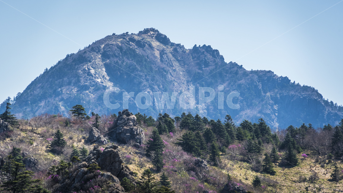 산,지리산,봄,철죽,등산,자연,한국자연경관,한국자연풍경,spring,landscape,koreanaturelandscape