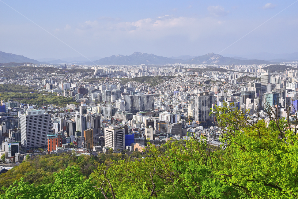 forest,city,concept,green space,skyline,scenery,building,view map,sight,land mark,landmark,big city,high rise building,business,metropolitan,town,metropolis,nature,high street,tree,seoul,outdoor,highrise,urban,outdoors,background,Korean urban landscape,la